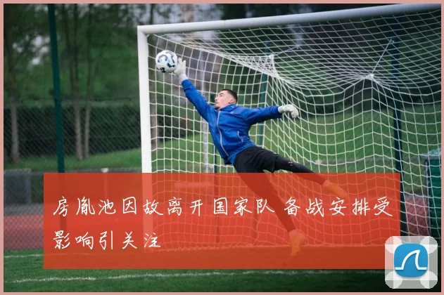房胤池因故离开国家队 备战安排受影响引关注