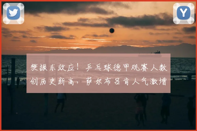 樊振东效应！乒乓球德甲观赛人数创历史新高，萨尔布吕肯人气激增三倍_杜塞尔多夫_本赛季_中国