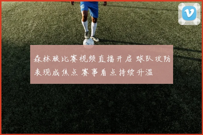 森林狼比赛视频直播开启 球队攻防表现成焦点 赛事看点持续升温