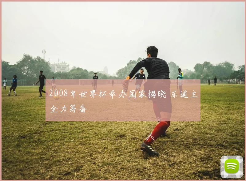 2008年世界杯举办国家揭晓 东道主全力筹备