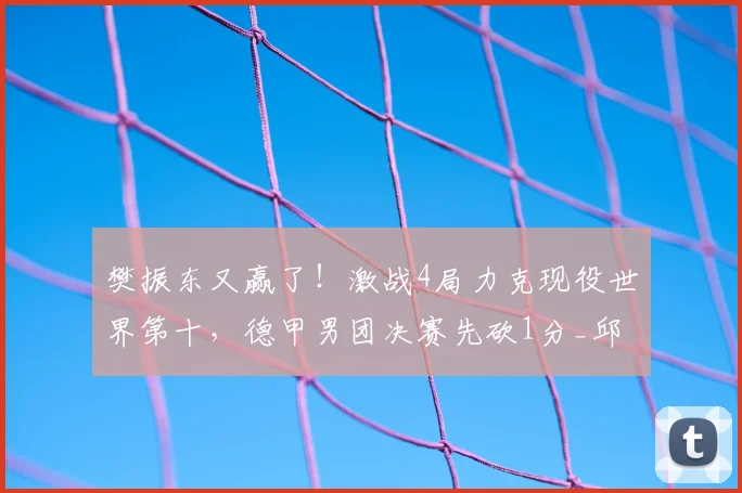 樊振东又赢了！激战4局力克现役世界第十，德甲男团决赛先砍1分_邱党_直拍_比分