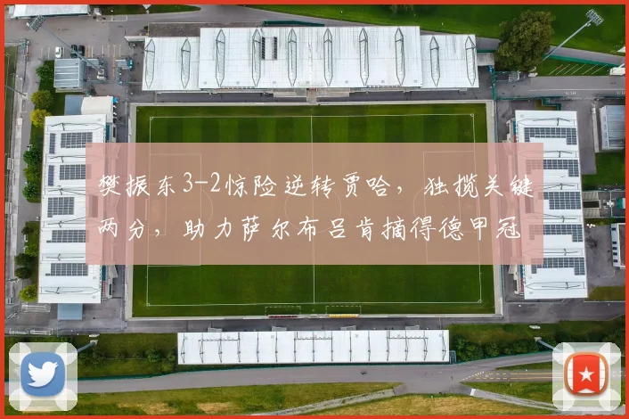 樊振东3-2惊险逆转贾哈，独揽关键两分，助力萨尔布吕肯摘得德甲冠军！_比赛_对手_比分